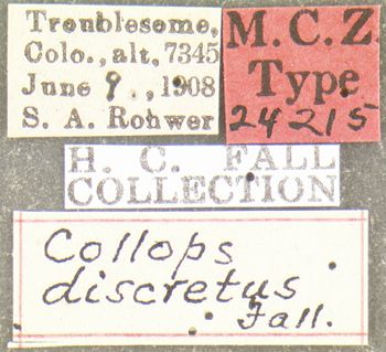 Media type: image;   Entomology 24215 Aspect: labels